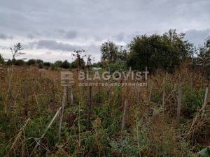 Land W-7201462, Sadova, Hatne - Photo 6