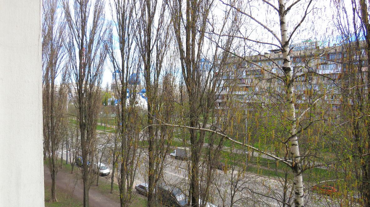 Квартира W-7266166, Жюля Верна бульв. (Роллана Ромена бульв.), 5, Киев - Фото 15