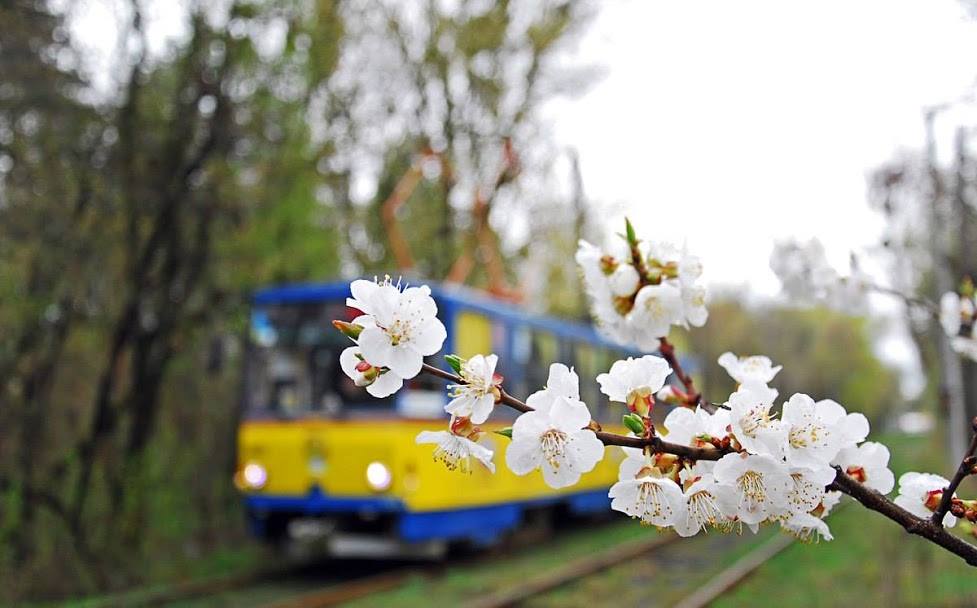​Куда пойти в Киеве 8 марта - экскурсия на трамвае в Пущу-Водицу