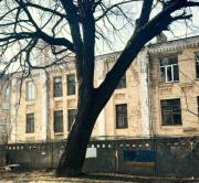 Дуб Николая Пимоненко