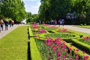 Фото: travels.in.ua Национальный ботанический сад имени М.М. Гришка