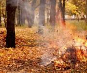 Сжигание листьев