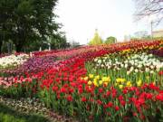 Куда пойти в Киеве на Пасху и майские праздники - перечень интересных мероприятий