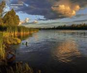 Заповідник