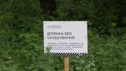Утримання трав’яного покриву