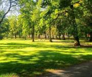 Парк у Києві