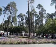 Парки Киева должны отвечать европейским стандартам. Фото: kmv.gov.ua