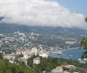 Ялта станет более зеленой. Фото: azur.ru