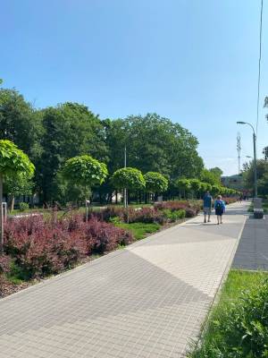 Квартира W-7384713, Дудаєва Джохара (Іскрівська), Київ - Фото 13
