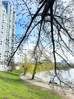  Офис, W-7383188, Соборности просп. (Воссоединения), Киев - Фото 10