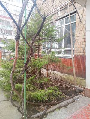  Офис, W-7419377, Оболонская, Киев - Фото 1