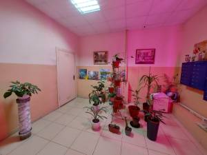Квартира W-7383422, Введенская, 29/58, Киев - Фото 6