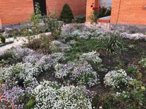 Будинок W-7441321, Леніна, Лебедівка (Вишгородський) - Фото 3