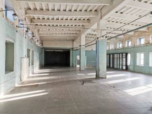  Нежилое помещение, W-7427497, Павличенко, Белая Церковь - Фото 3