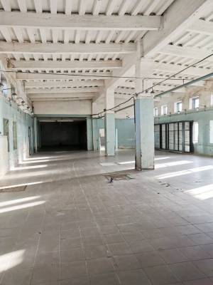  Нежилое помещение, W-7427497, Павличенко, Белая Церковь - Фото 5