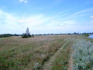 Земельна ділянка W-7369584, Літки - Фото 3