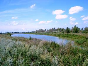 Земельна ділянка W-7369584, Літки - Фото 4