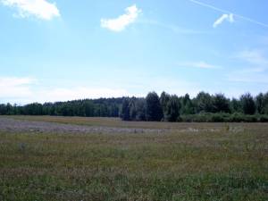 Земельна ділянка W-7369584, Літки - Фото 2