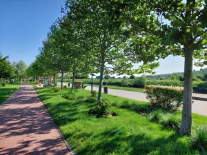 Квартира W-7429958, Достоєвського, 1в/1, Ірпінь - Фото 15