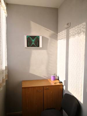 Квартира W-7441403, Сім'ї Стешенків (Строкача Тимофія), 9, Київ - Фото 7