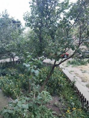 Квартира W-7444554, Энтузиастов, 9, Киев - Фото 10