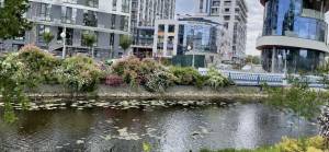 Земельный участок W-7438020, Галика Алимпия (Малоземельная), Киев - Фото 15