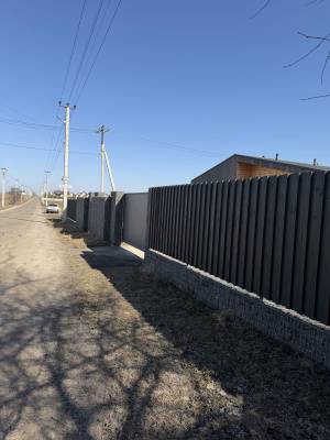 Будинок W-7441483, Центральна, Бузуглівка - Фото 2