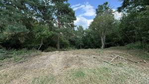 Земельна ділянка W-7446887, Андрія Малишка, Плюти (Конча-Заспа) - Фото 1