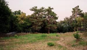 Земельна ділянка W-7446887, Андрія Малишка, Плюти (Конча-Заспа) - Фото 8