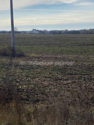 Земельный участок W-7429574, Подгорцы - Фото 4