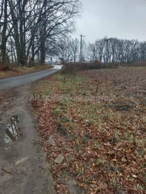 Земельный участок W-7429574, Подгорцы - Фото 2