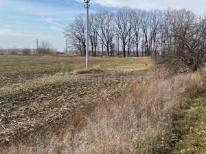 Земельный участок W-7429574, Подгорцы - Фото 6