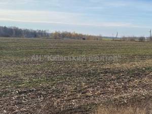 Земельный участок W-7429574, Подгорцы - Фото 5