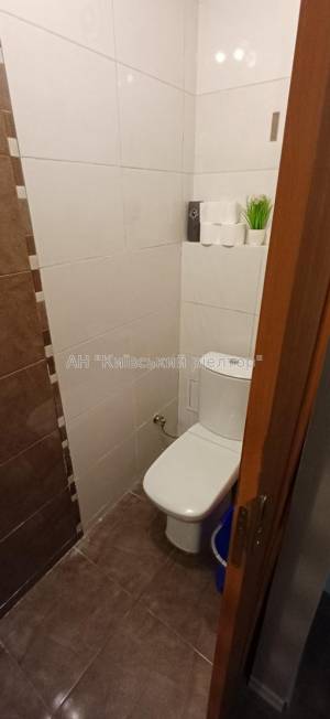  Нежитлове приміщення, W-7440882, Антоновича Володимира (Горького), Київ - Фото 11