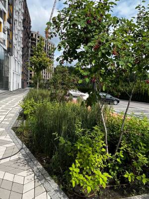 Квартира W-7310800, Берковецька, 5, Київ - Фото 10