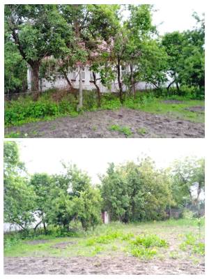 Дом W-7423244, Малютянка - Фото 14