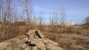 Земельный участок W-7433402, Садовая (Осокорки), Киев - Фото 12