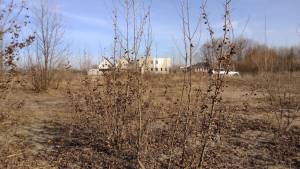 Земельный участок W-7433402, Садовая (Осокорки), Киев - Фото 9