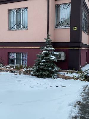 Apartment W-7262165, Vysoka, 10а, Irpin - Photo 3