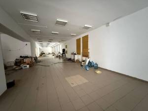  Окремо розташована будівля, W-7358994, Золотоустівська, Київ - Фото 2