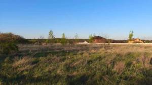 Земельна ділянка W-7374970, Музичи - Фото 4