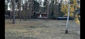 Земельна ділянка W-7255254, Лісова, Романків - Фото 8