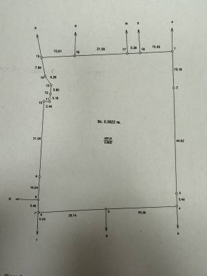 Земельна ділянка W-7445796, Лісова, Романків - Фото 12