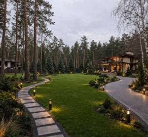 Земельна ділянка W-7445796, Лісова, Романків - Фото 7