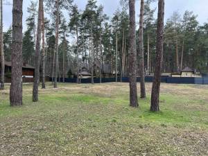 Земельна ділянка W-7445796, Лісова, Романків - Фото 10