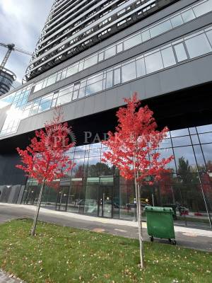 Квартира W-7311744, Ужгородский пер., 4-1, Киев - Фото 5