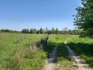 Земельна ділянка W-7200269, Дудки - Фото 1