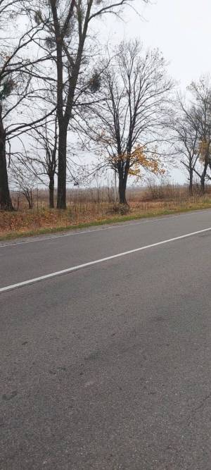 Земельна ділянка W-7329898, Глібівка - Фото 7