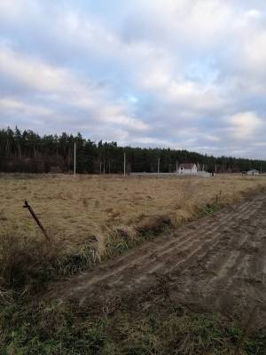 Земельна ділянка W-7341101, Лютіж - Фото 1