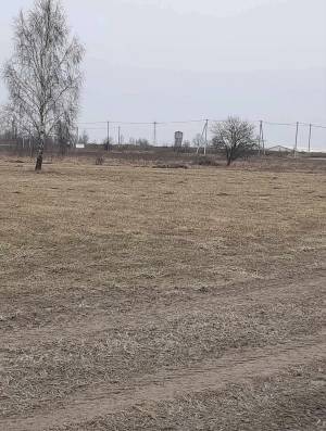 Земельна ділянка W-7365335, Нові Петрівці - Фото 3